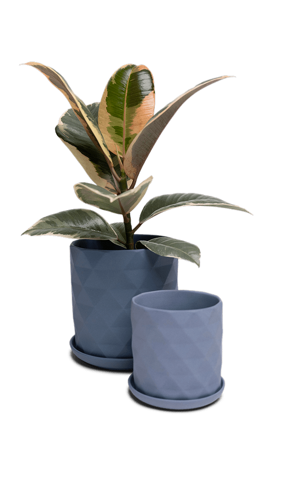 Virago 3.5" Porcelain Pot With Drainage Hole And Saucer - Chive Ceramics Studio - Pots - Chive Ceramics Studio