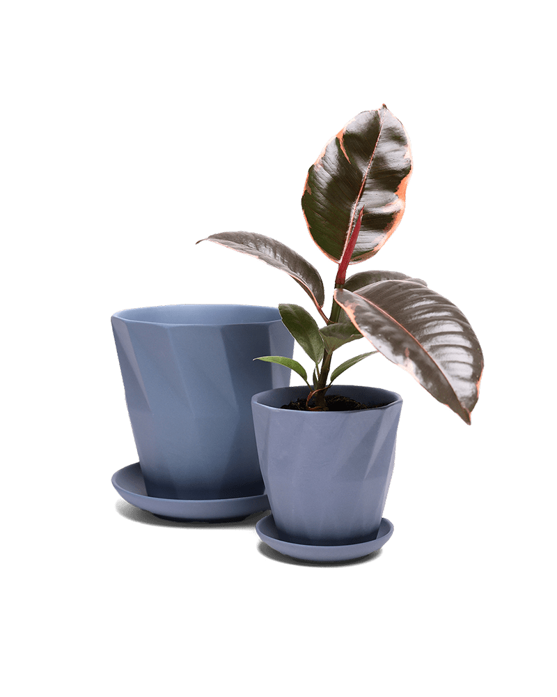 Virago 3.5" Porcelain Pot With Drainage Hole And Saucer - Chive Ceramics Studio - Pots - Chive Ceramics Studio