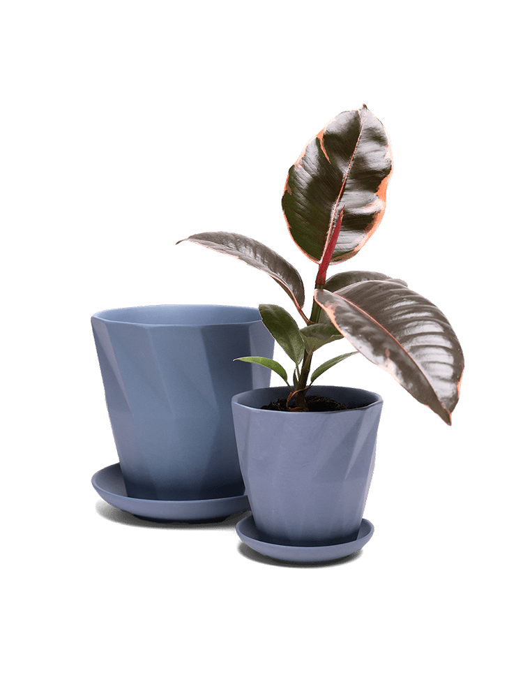 Virago 3.5" Porcelain Pot With Drainage Hole And Saucer - Chive Ceramics Studio - Pots - Chive Ceramics Studio