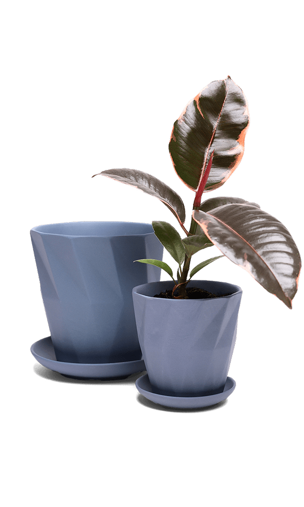 Virago 3.5" Porcelain Pot With Drainage Hole And Saucer - Chive Ceramics Studio - Pots - Chive Ceramics Studio