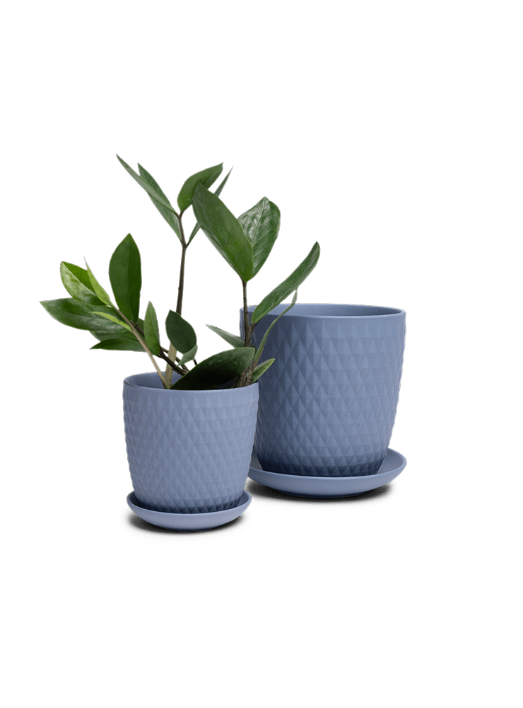 Virago 3.5" Porcelain Pot With Drainage Hole And Saucer - Chive Ceramics Studio - Pots - Chive Ceramics Studio