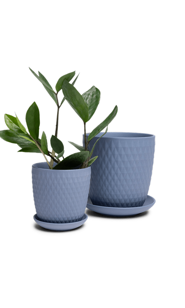 Virago 3.5" Porcelain Pot With Drainage Hole And Saucer - Chive Ceramics Studio - Pots - Chive Ceramics Studio