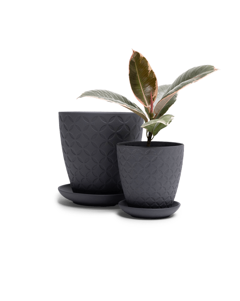 Virago 3.5" Porcelain Pot With Drainage Hole And Saucer - Chive Ceramics Studio - Pots - Chive Ceramics Studio