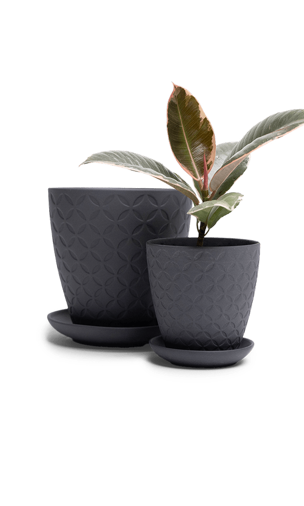 Virago 3.5" Porcelain Pot With Drainage Hole And Saucer - Chive Ceramics Studio - Pots - Chive Ceramics Studio