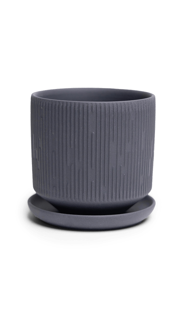 Virago 3.5" Porcelain Pot With Drainage Hole And Saucer - Chive Ceramics Studio - Pots - Chive Ceramics Studio