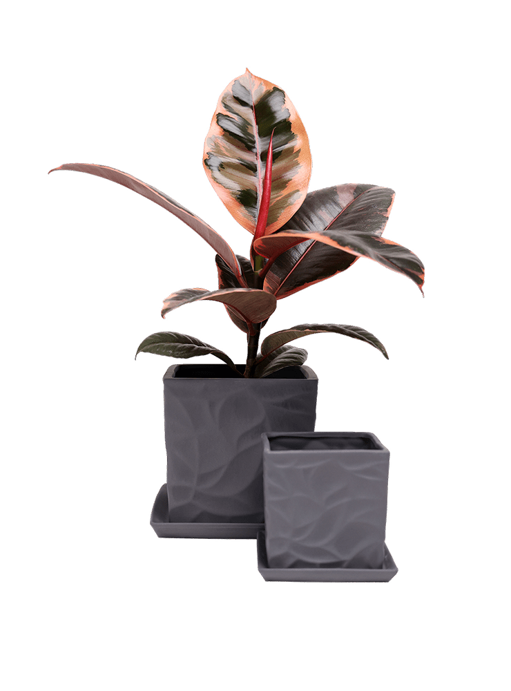 Virago 3.5" Porcelain Pot With Drainage Hole And Saucer - Chive Ceramics Studio - Pots - Chive Ceramics Studio