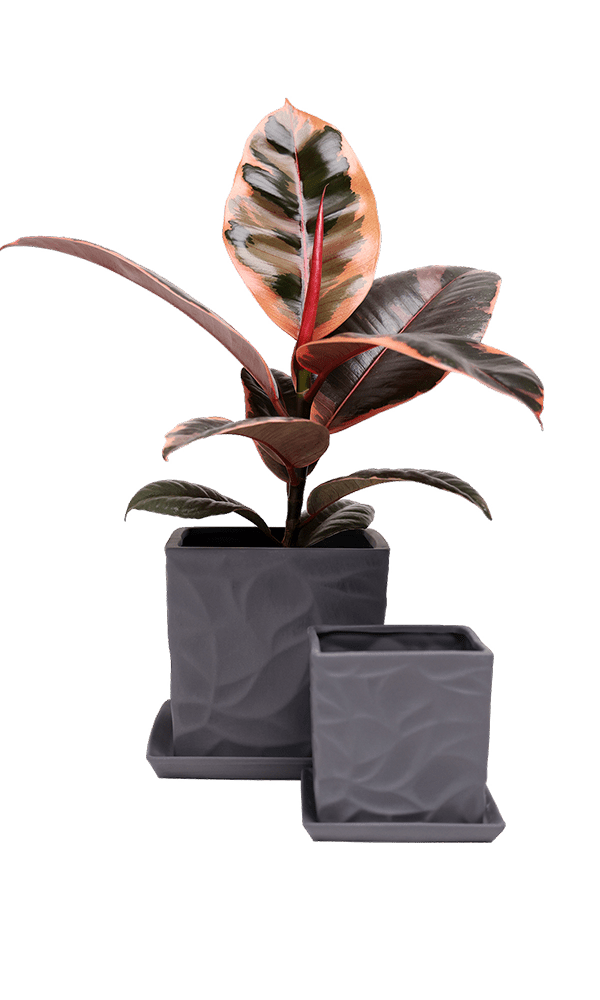 Virago 3.5" Porcelain Pot With Drainage Hole And Saucer - Chive Ceramics Studio - Pots - Chive Ceramics Studio