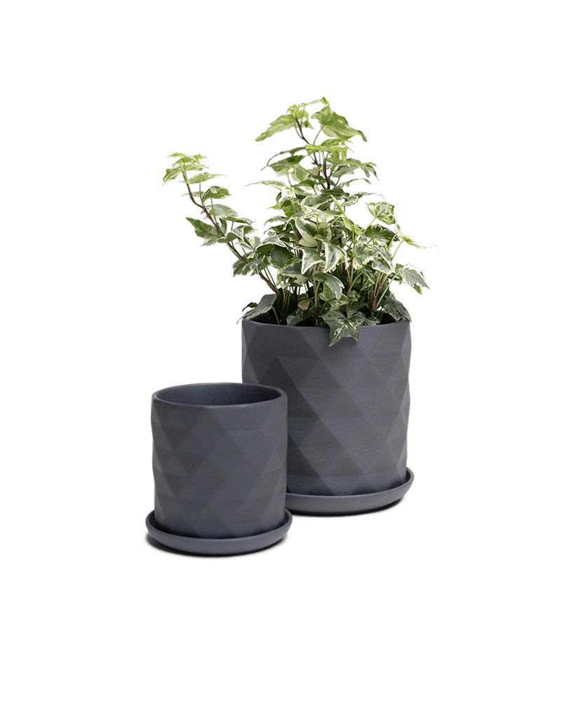 Virago 3.5" Porcelain Pot With Drainage Hole And Saucer - Chive Ceramics Studio - Pots - Chive Ceramics Studio