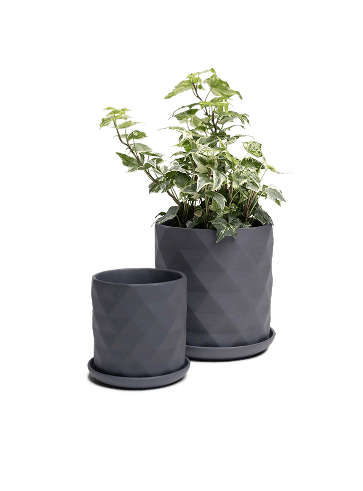 Virago 3.5" Porcelain Pot With Drainage Hole And Saucer - Chive Ceramics Studio - Pots - Chive Ceramics Studio