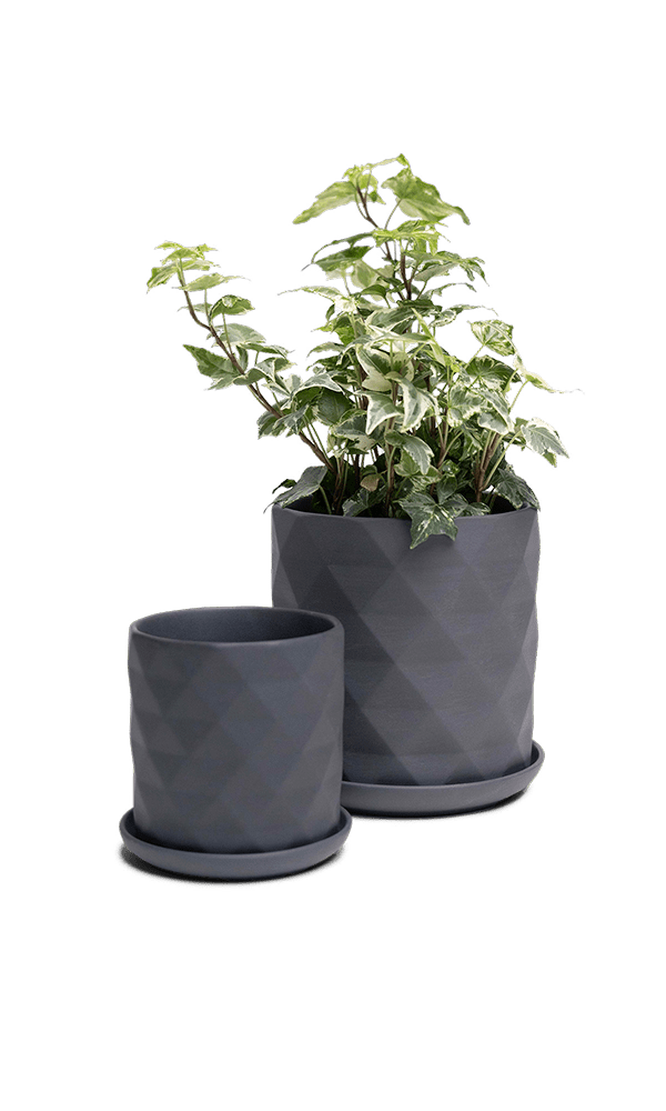 Virago 3.5" Porcelain Pot With Drainage Hole And Saucer - Chive Ceramics Studio - Pots - Chive Ceramics Studio