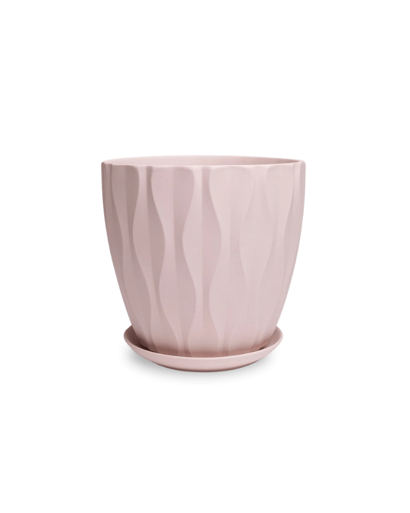 Virago Porcelain Large Indoor Pot With Drainage Hole And Saucer - Chive Ceramics Studio - Pots - Chive US