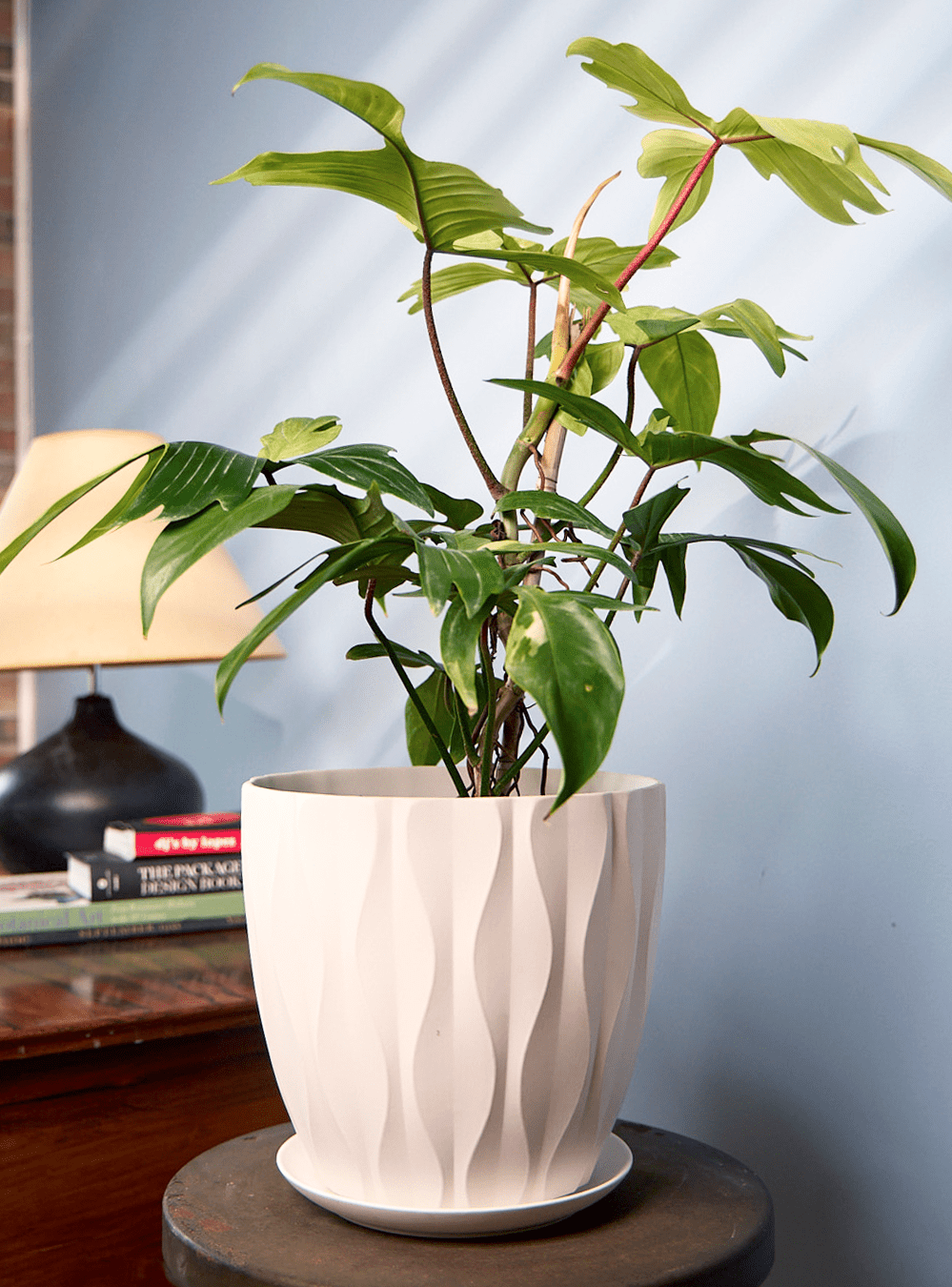 Virago Porcelain Large Indoor Pot With Drainage Hole And Saucer - Chive Ceramics Studio - Pots - Chive US