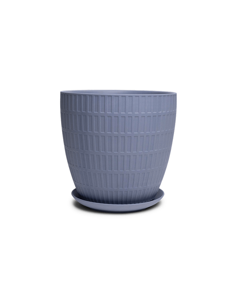 Virago Porcelain Large Indoor Pot With Drainage Hole And Saucer - Chive Ceramics Studio - Pots - Chive US