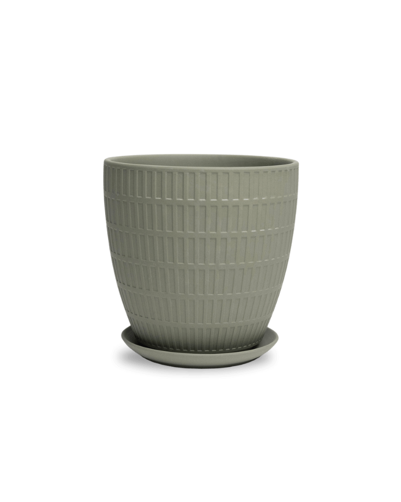 Virago Porcelain Large Indoor Pot With Drainage Hole And Saucer - Chive Ceramics Studio - Pots - Chive US