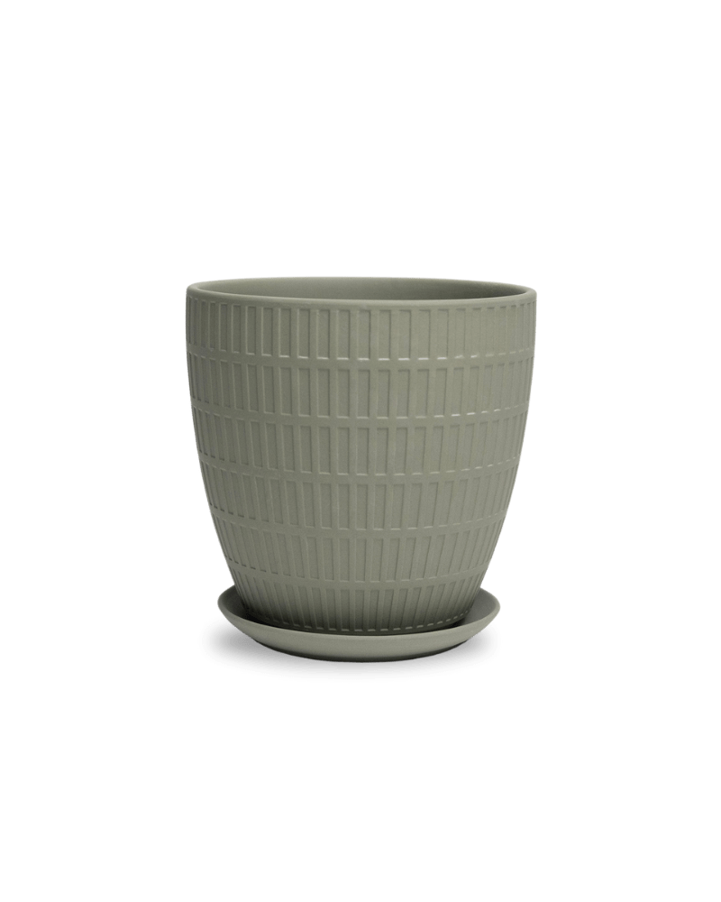 Virago Porcelain Large Indoor Pot With Drainage Hole And Saucer - Chive Ceramics Studio - Pots - Chive US