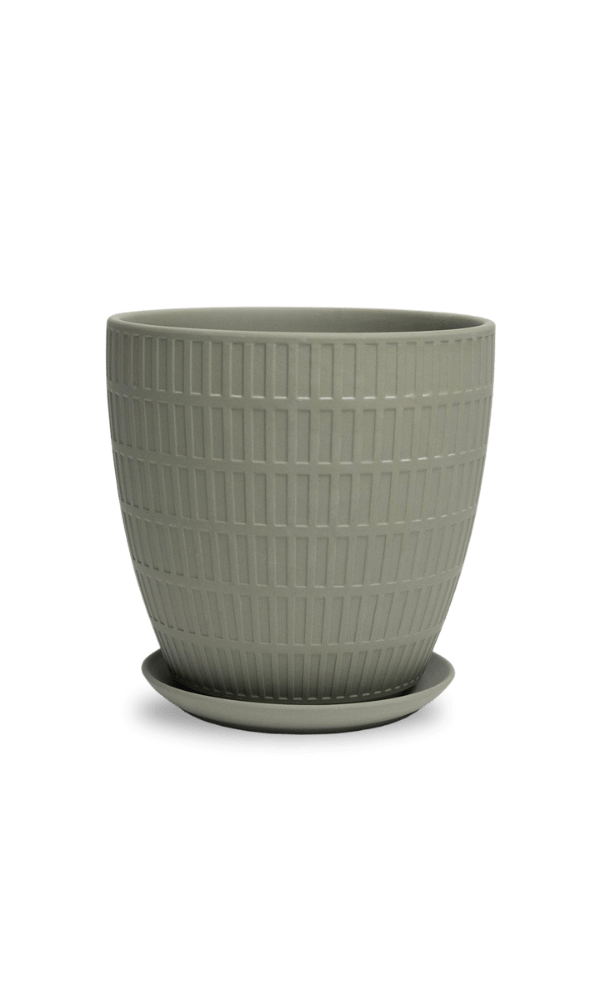 Virago Porcelain Large Indoor Pot With Drainage Hole And Saucer - Chive Ceramics Studio - Pots - Chive US