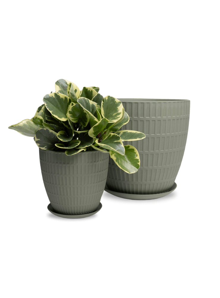 Virago Porcelain Large Indoor Pot With Drainage Hole And Saucer - Chive Ceramics Studio - Pots - Chive US