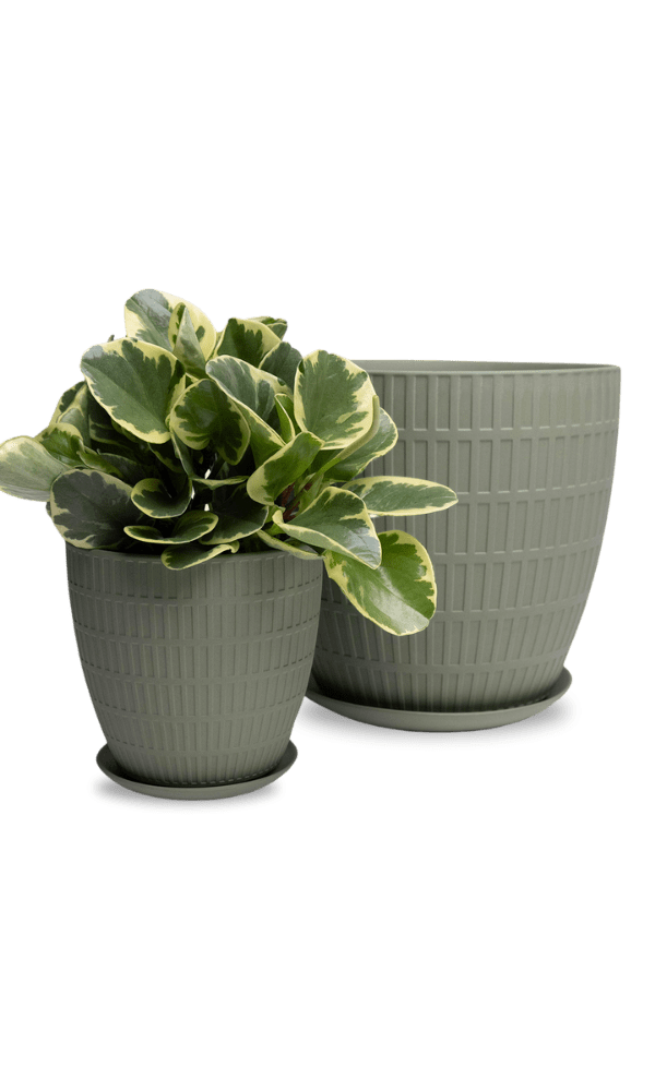 Virago Porcelain Large Indoor Pot With Drainage Hole And Saucer - Chive Ceramics Studio - Pots - Chive US