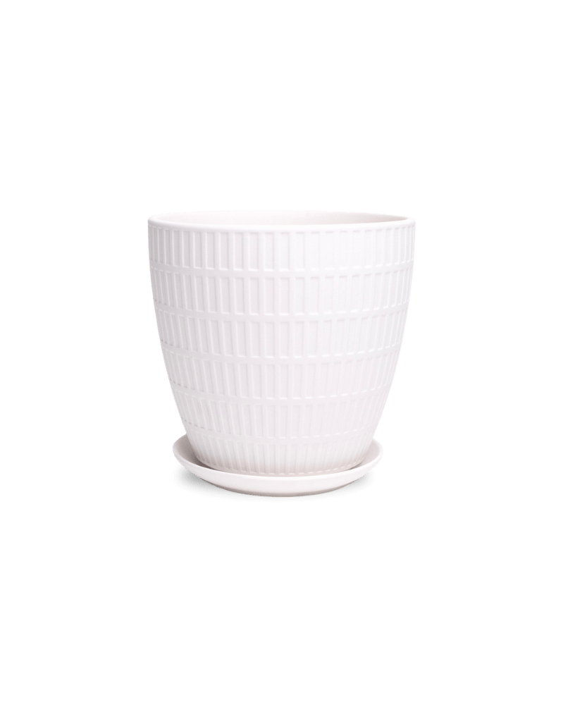 Virago Porcelain Large Indoor Pot With Drainage Hole And Saucer - Chive Ceramics Studio - Pots - Chive US