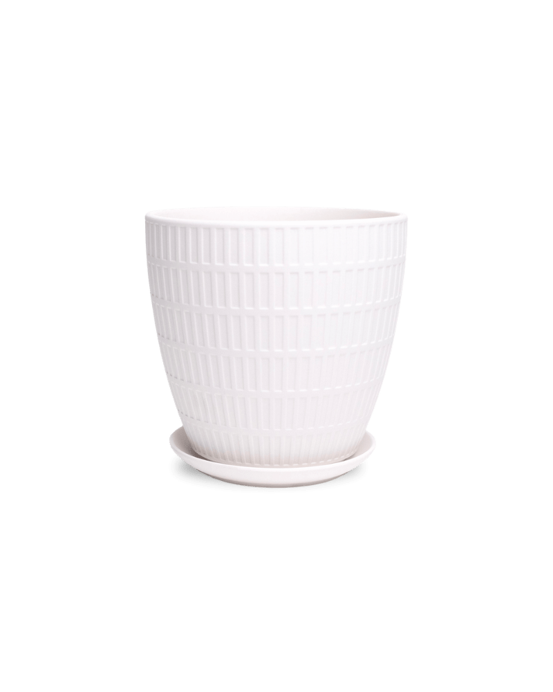 Virago Porcelain Large Indoor Pot With Drainage Hole And Saucer - Chive Ceramics Studio - Pots - Chive US