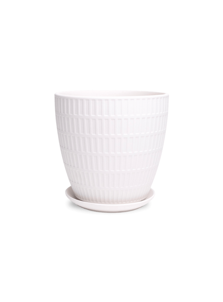 Virago Porcelain Large Indoor Pot With Drainage Hole And Saucer - Chive Ceramics Studio - Pots - Chive US