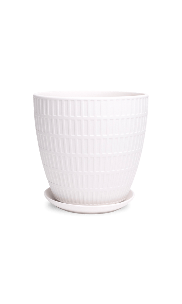 Virago Porcelain Large Indoor Pot With Drainage Hole And Saucer - Chive Ceramics Studio - Pots - Chive US