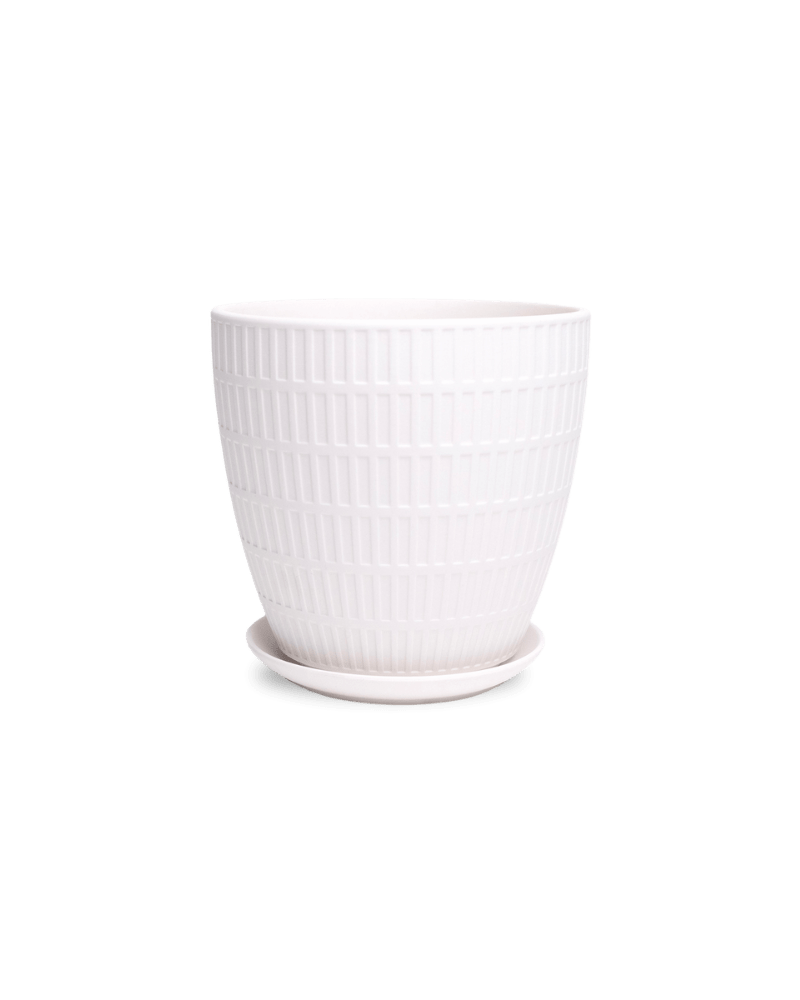 Virago Porcelain Large Indoor Pot With Drainage Hole And Saucer - Chive Ceramics Studio - Pots - Chive US