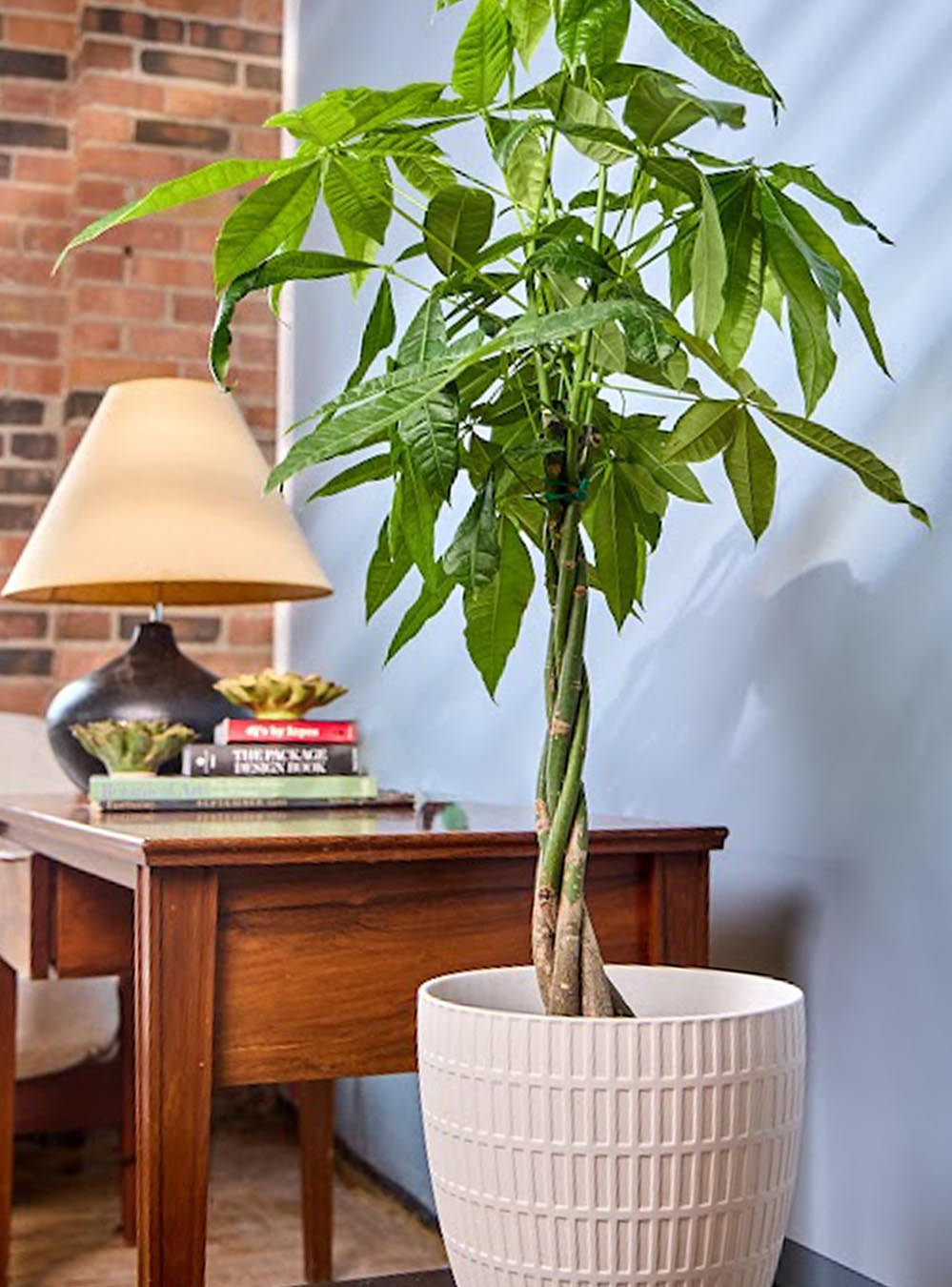 Virago Porcelain Large Indoor Pot With Drainage Hole And Saucer - Chive Ceramics Studio - Pots - Chive US