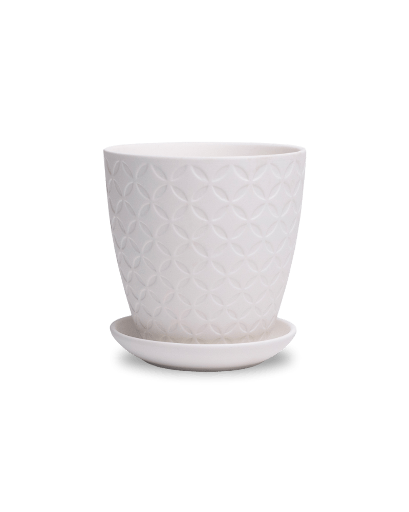 Virago 3.5" Porcelain Pot With Drainage Hole And Saucer - Chive Ceramics Studio - Pots - Chive Ceramics Studio