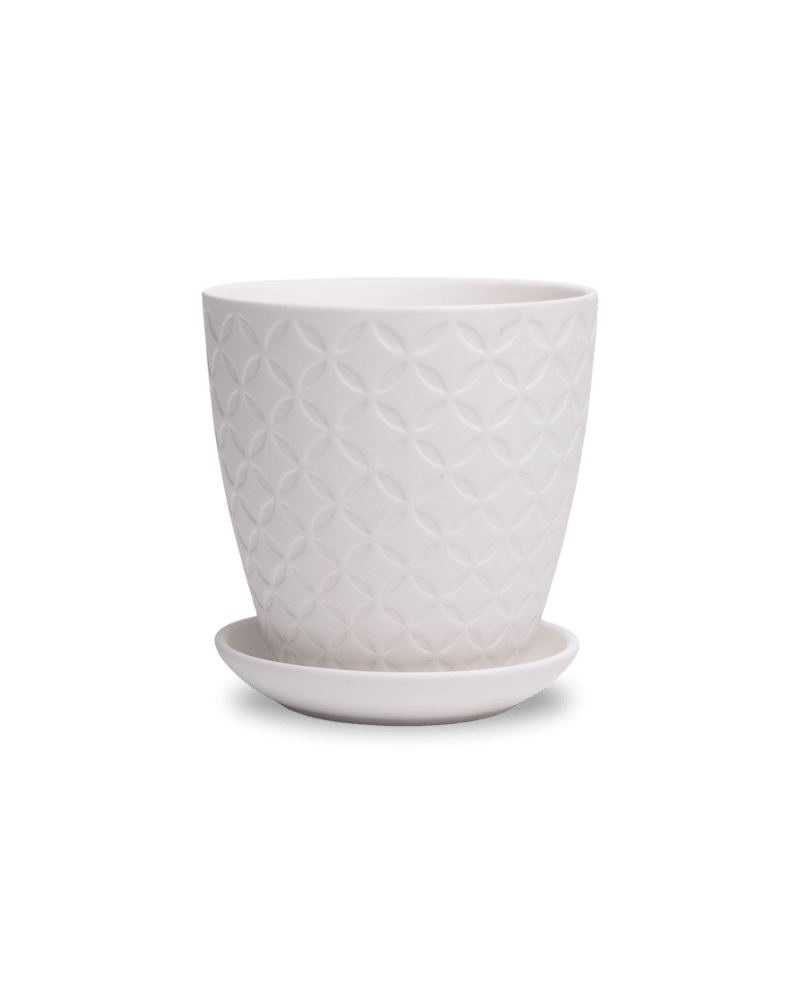 Virago 3.5" Porcelain Pot With Drainage Hole And Saucer - Chive Ceramics Studio - Pots - Chive Ceramics Studio