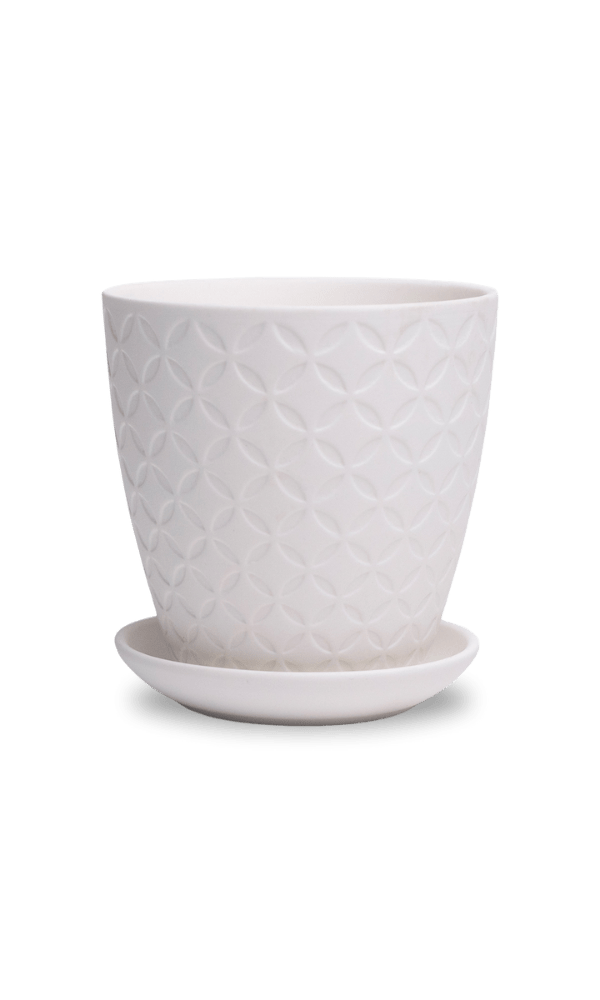 Virago 3.5" Porcelain Pot With Drainage Hole And Saucer - Chive Ceramics Studio - Pots - Chive Ceramics Studio