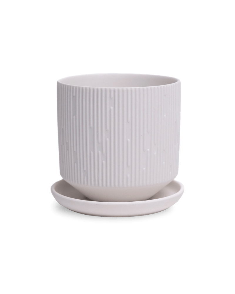 Virago 3.5" Porcelain Pot With Drainage Hole And Saucer - Chive Ceramics Studio - Pots - Chive Ceramics Studio