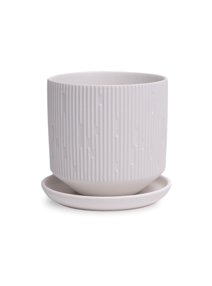 Virago 3.5" Porcelain Pot With Drainage Hole And Saucer - Chive Ceramics Studio - Pots - Chive Ceramics Studio