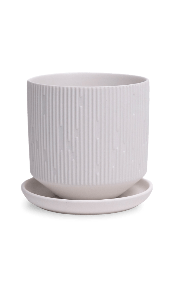 Virago 3.5" Porcelain Pot With Drainage Hole And Saucer - Chive Ceramics Studio - Pots - Chive Ceramics Studio