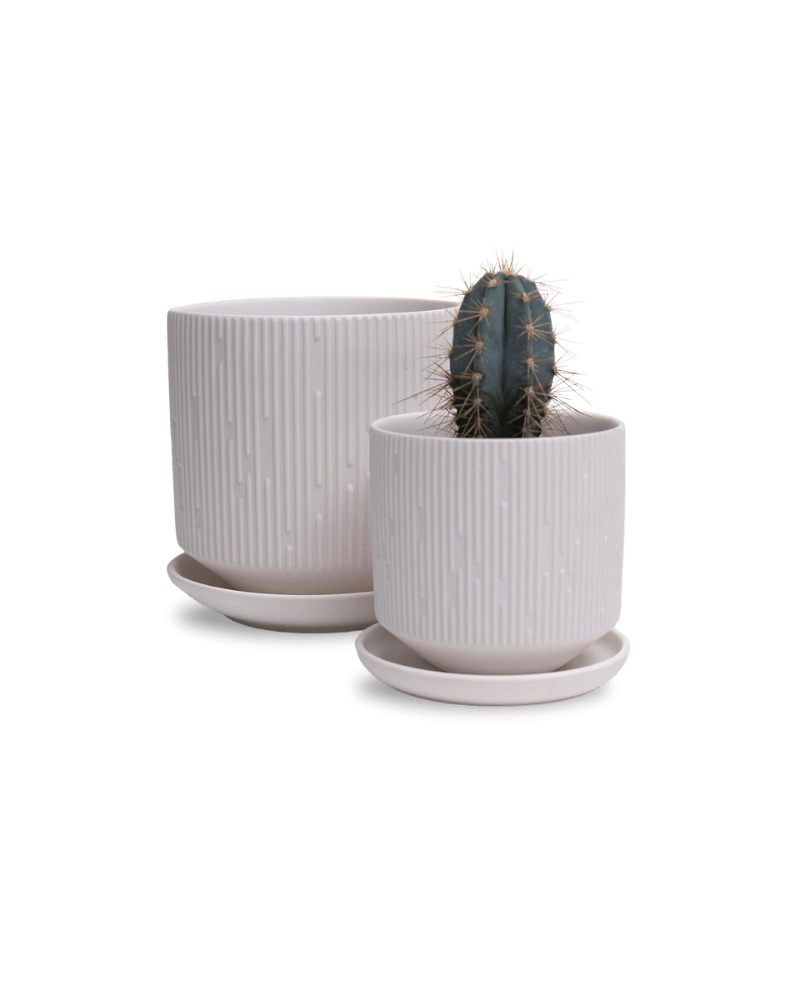 Virago 3.5" Porcelain Pot With Drainage Hole And Saucer - Chive Ceramics Studio - Pots - Chive Ceramics Studio