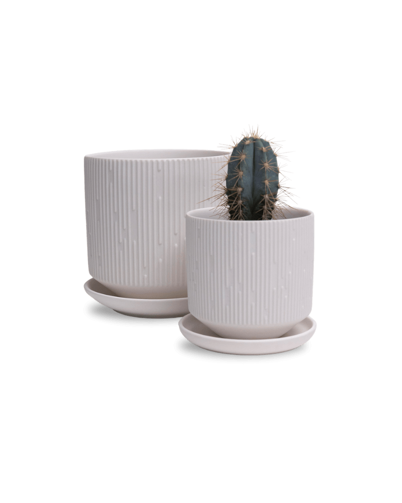 Virago 3.5" Porcelain Pot With Drainage Hole And Saucer - Chive Ceramics Studio - Pots - Chive Ceramics Studio