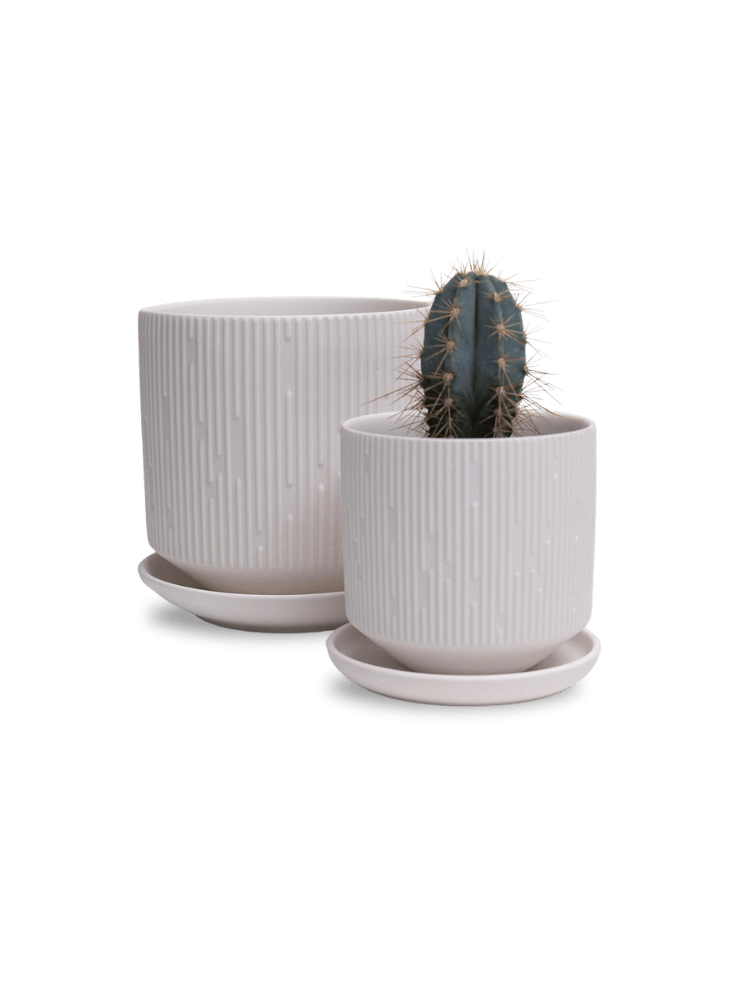 Virago 3.5" Porcelain Pot With Drainage Hole And Saucer - Chive Ceramics Studio - Pots - Chive Ceramics Studio
