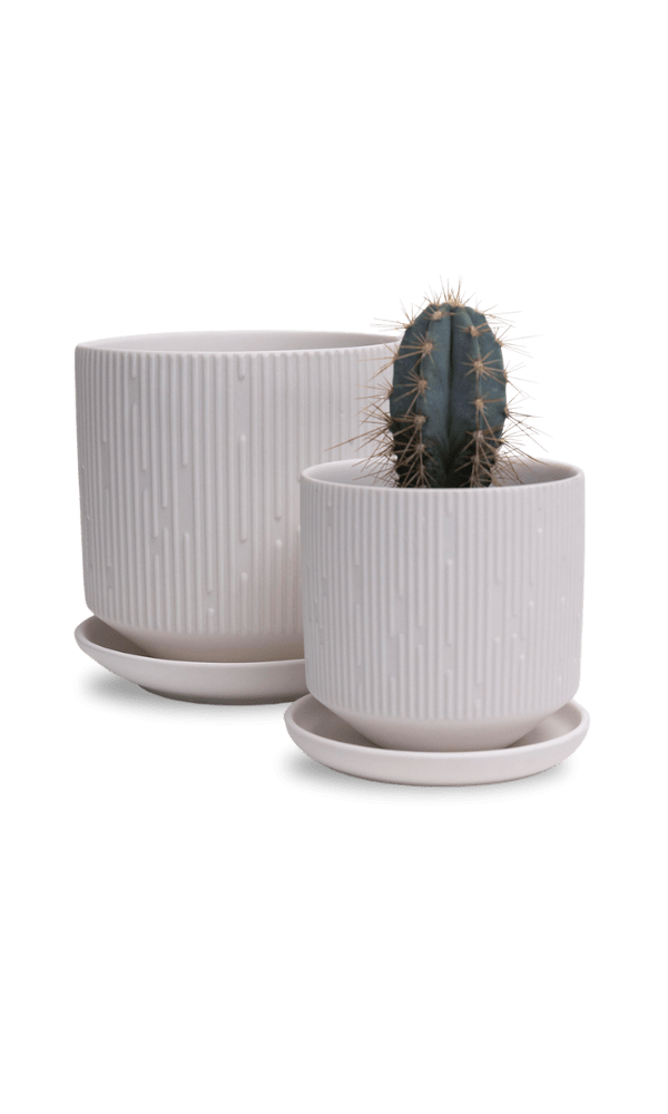 Virago 3.5" Porcelain Pot With Drainage Hole And Saucer - Chive Ceramics Studio - Pots - Chive Ceramics Studio