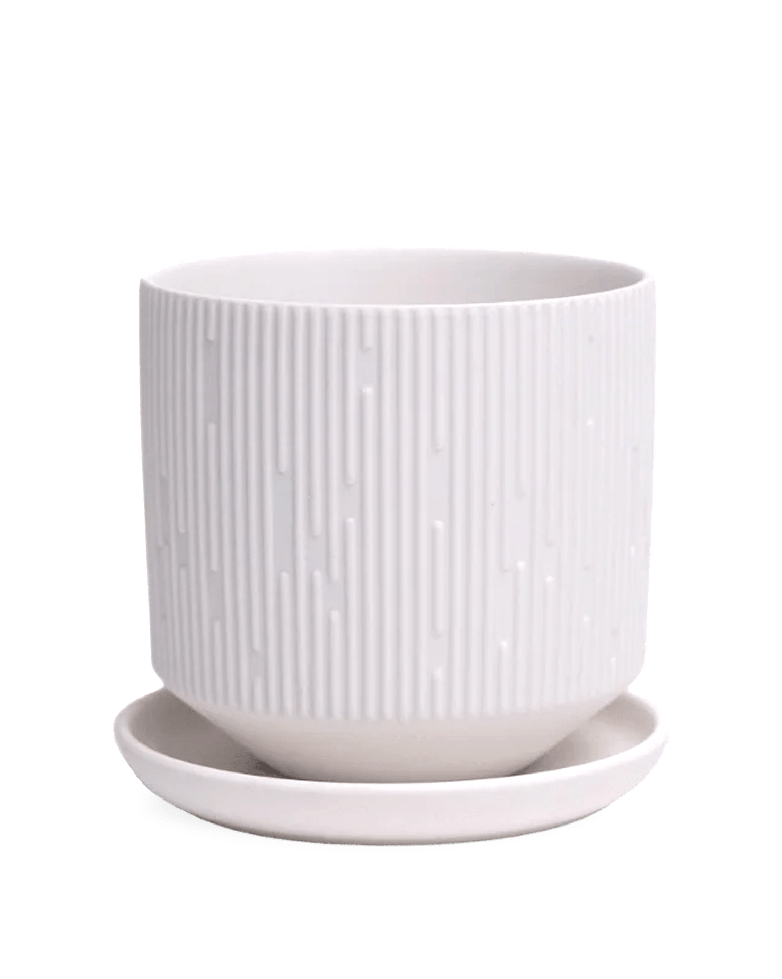 Virago White 5" Porcelain Pot - Chive Ceramics Studio - Pots - Chive Wholesale