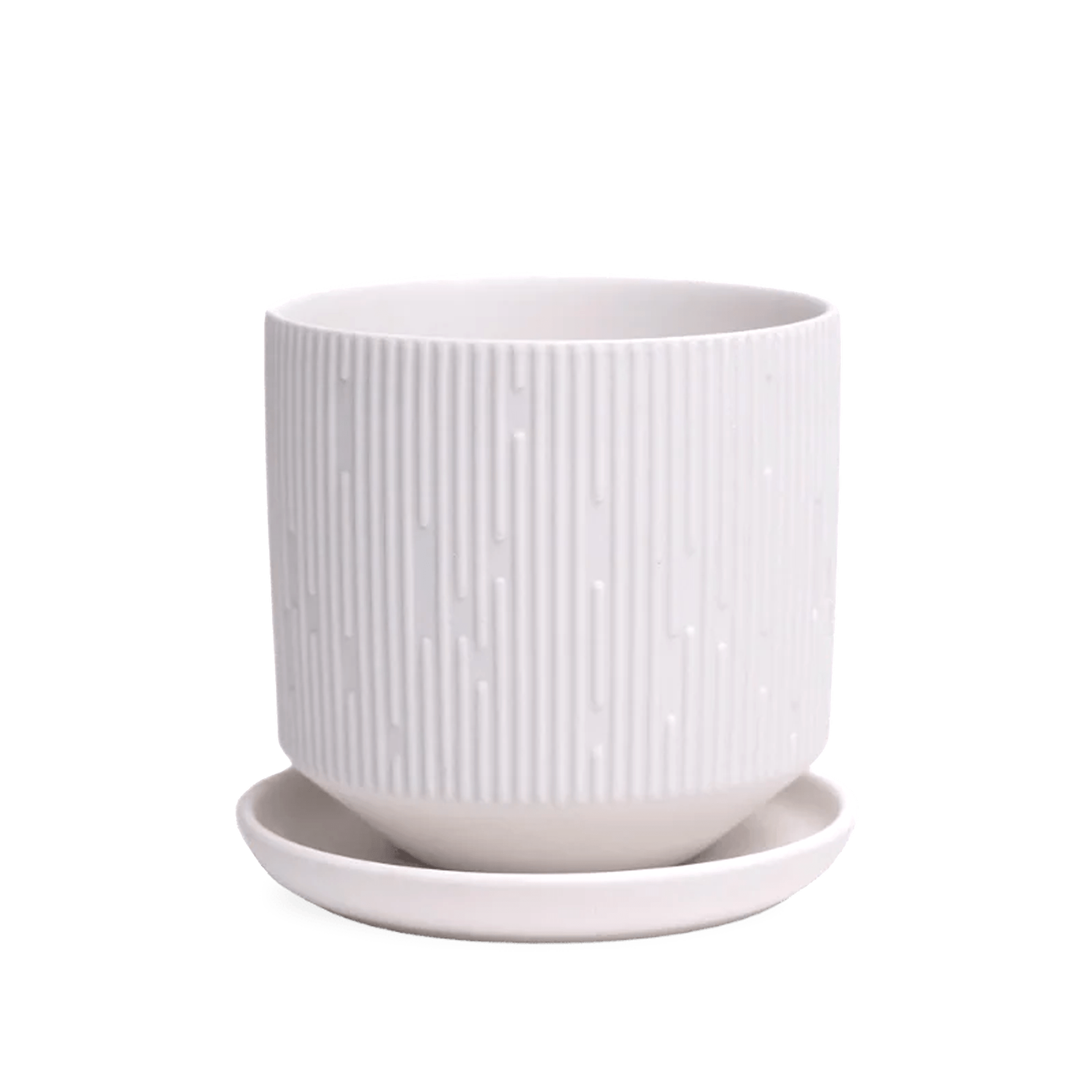 Virago White 5" Porcelain Pot - Chive Ceramics Studio - Pots - Chive Wholesale