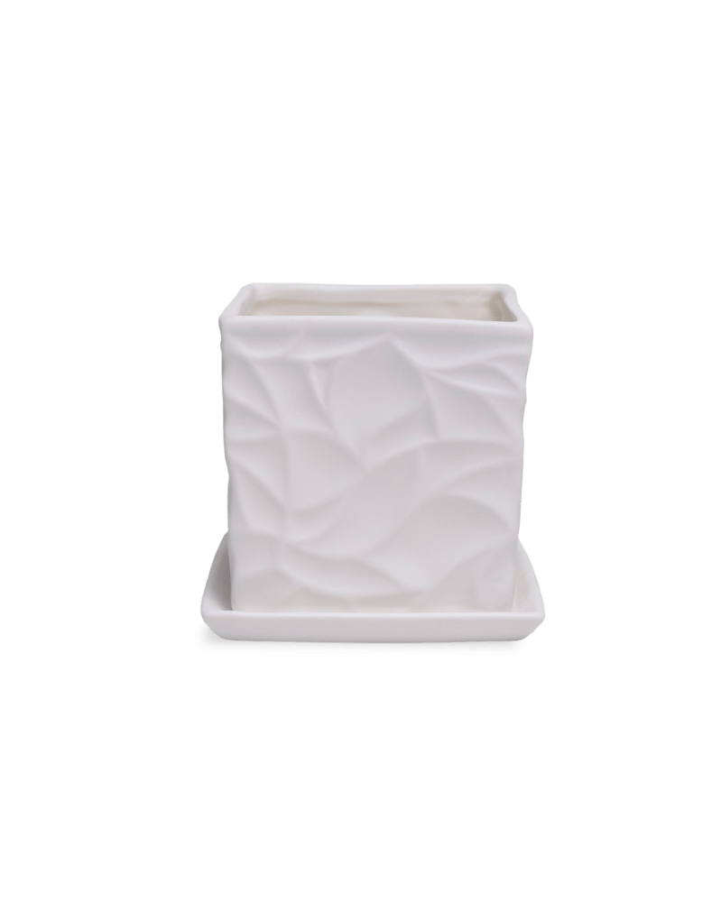 Virago 3.5" Porcelain Pot With Drainage Hole And Saucer - Chive Ceramics Studio - Pots - Chive Ceramics Studio