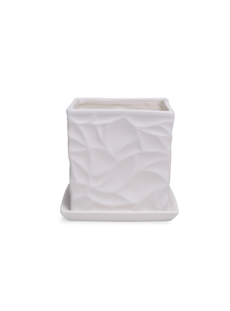 Virago 3.5" Porcelain Pot With Drainage Hole And Saucer - Chive Ceramics Studio - Pots - Chive Ceramics Studio