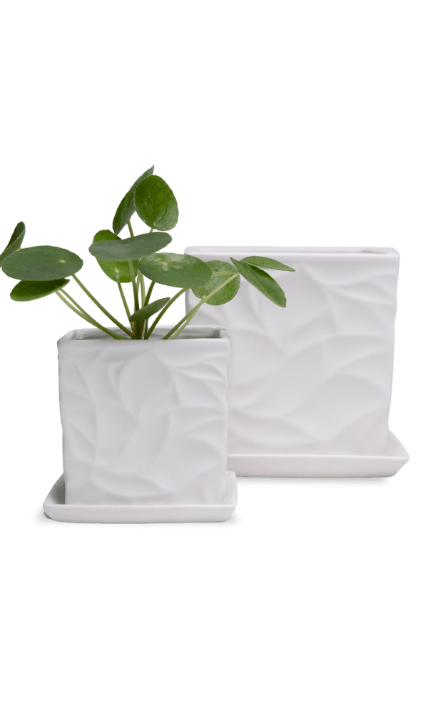 Virago 3.5" Porcelain Pot With Drainage Hole And Saucer - Chive Ceramics Studio - Pots - Chive Ceramics Studio