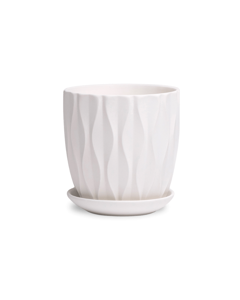 Virago 3.5" Porcelain Pot With Drainage Hole And Saucer - Chive Ceramics Studio - Pots - Chive Ceramics Studio