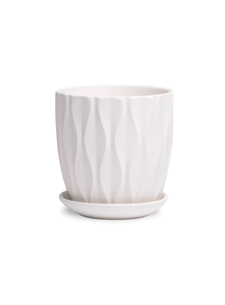 Virago 3.5" Porcelain Pot With Drainage Hole And Saucer - Chive Ceramics Studio - Pots - Chive Ceramics Studio