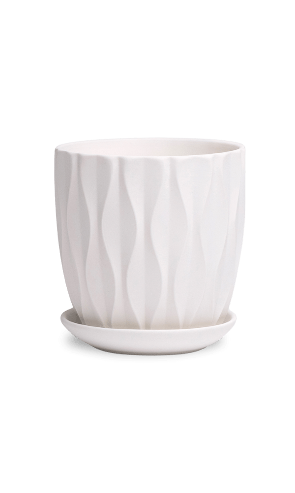 Virago 3.5" Porcelain Pot With Drainage Hole And Saucer - Chive Ceramics Studio - Pots - Chive Ceramics Studio