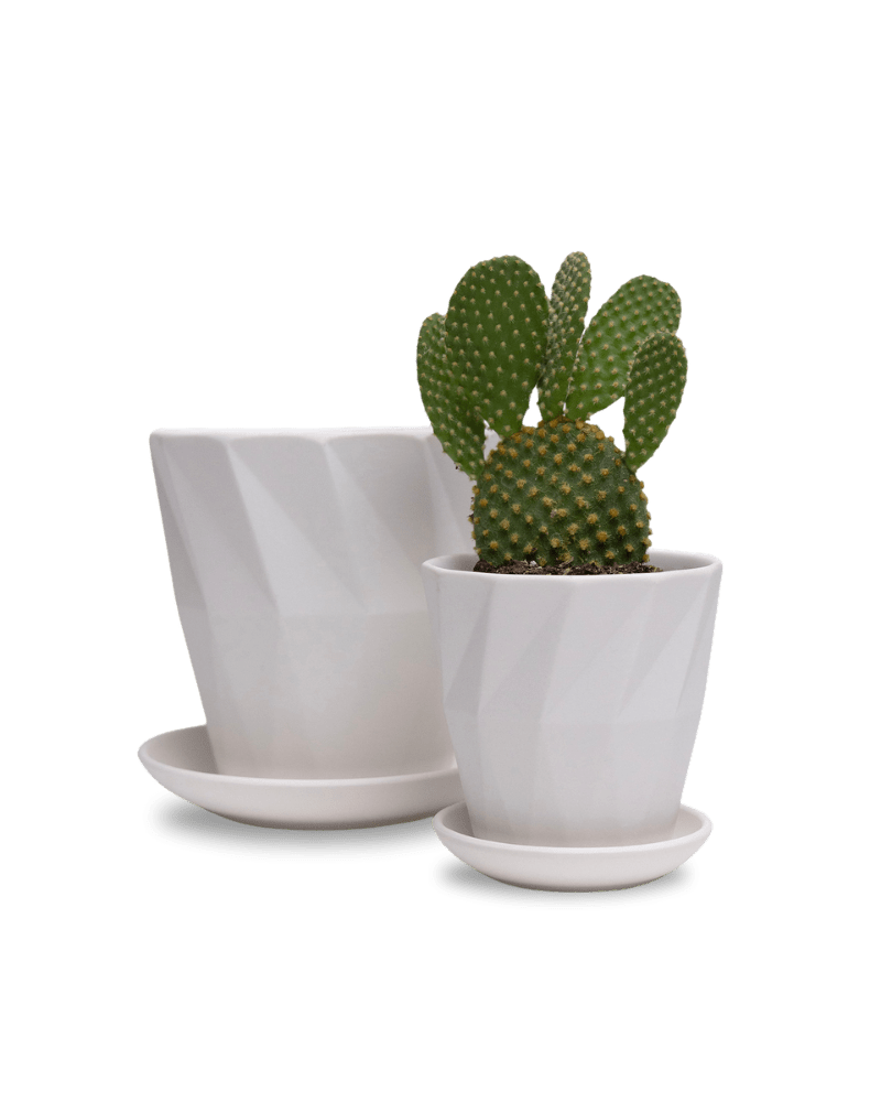 Virago 3.5" Porcelain Pot With Drainage Hole And Saucer - Chive Ceramics Studio - Pots - Chive Ceramics Studio