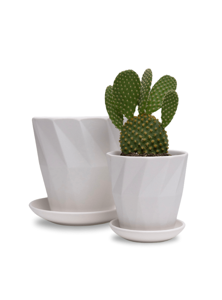 Virago 3.5" Porcelain Pot With Drainage Hole And Saucer - Chive Ceramics Studio - Pots - Chive Ceramics Studio