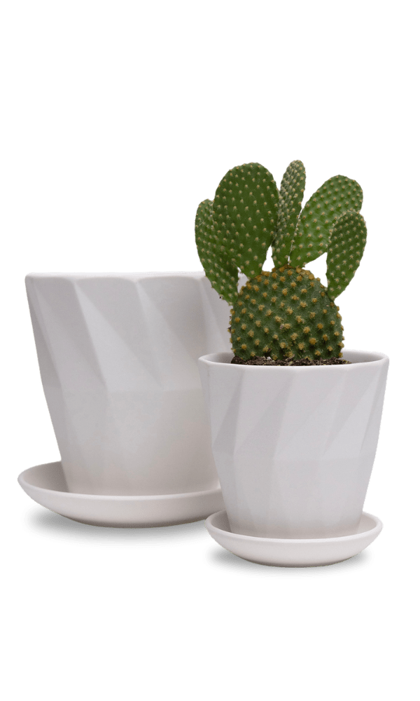 Virago 3.5" Porcelain Pot With Drainage Hole And Saucer - Chive Ceramics Studio - Pots - Chive Ceramics Studio