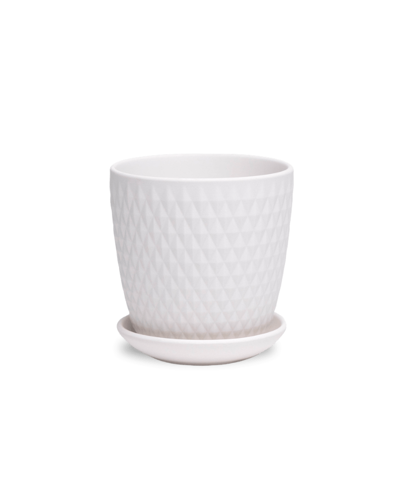 Virago 3.5" Porcelain Pot With Drainage Hole And Saucer - Chive Ceramics Studio - Pots - Chive Ceramics Studio